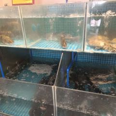老胡柴火魚（青年大道店）張用戶圖片
