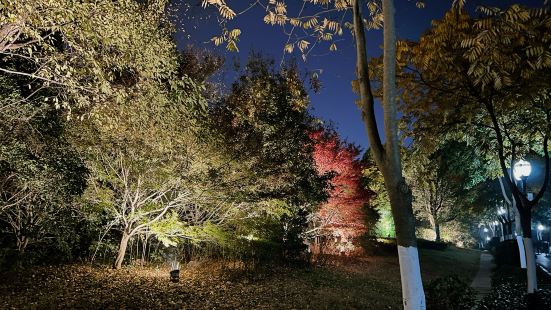 夜晚的张公山公园好美，忍不住拍了几张