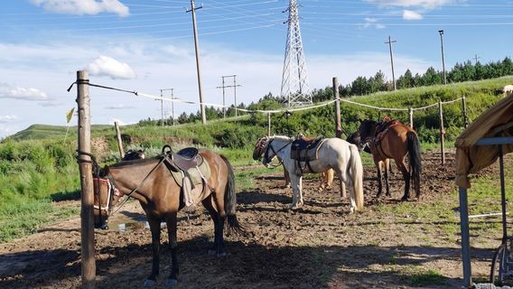 Inner Mongolia Luanyuan Lake Horse Riding Field
