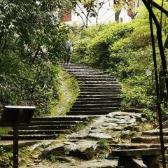 愛晚亭湖鮮食府張用戶圖片