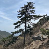 評論圖片 6