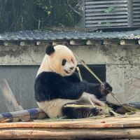 評論圖片 5