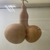評論圖片 2