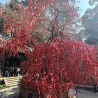 評論圖片 3