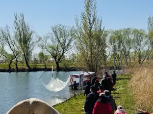 白洋淀望月岛5号农家院