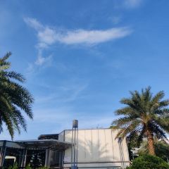 烹饪图书馆 여행 사진