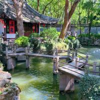 評論圖片 8