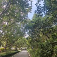 評論圖片 3