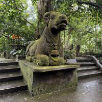 評論圖片 5