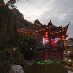 相遇鐵板魚頭蛙(西津渡店)張用戶圖片