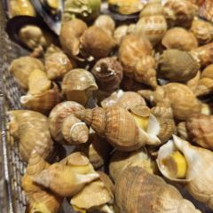 三亚湾海居铂尔曼度假酒店·普瑞思泳池吧 User Photo