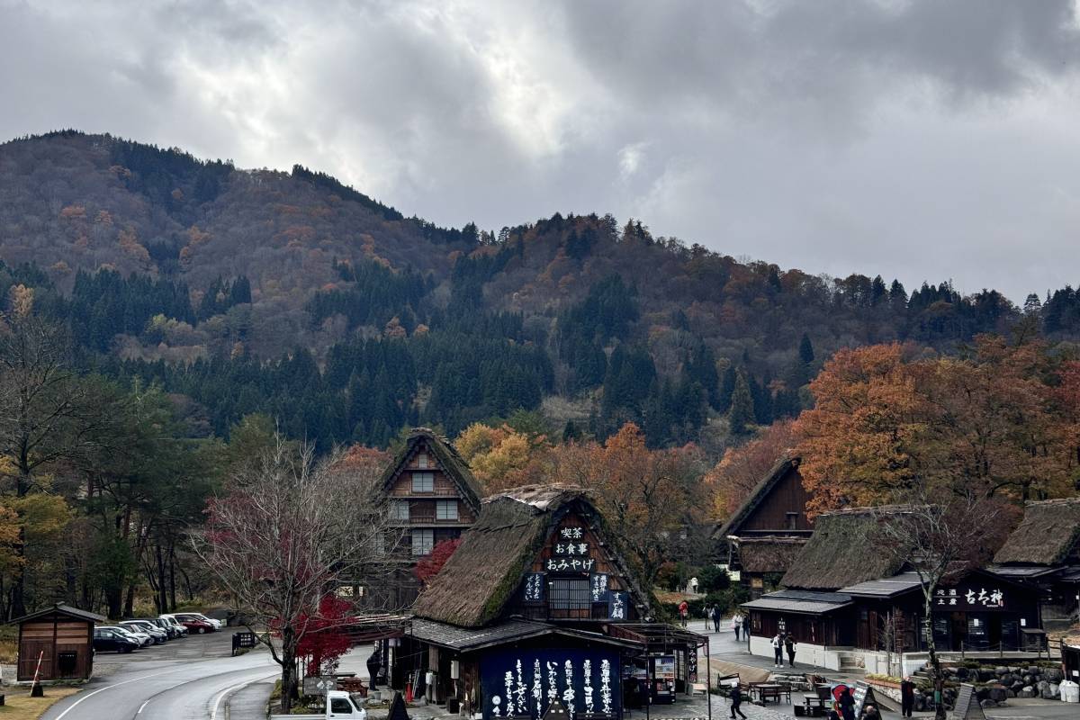 名古屋紅葉 | 6. 白川鄉