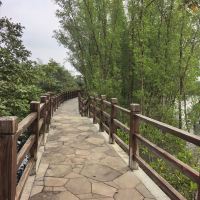 評論圖片 4