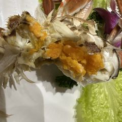 One tofu User Photo