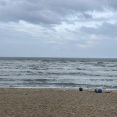 花海全海景海鮮餐廳·愛與花的世界（巽寮店）張用戶圖片