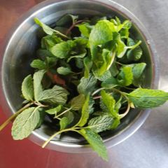 笮山羊雙鑫羊肉米線店張用戶圖片