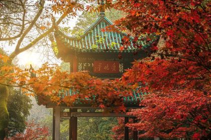 愛晚亭湖鮮食府