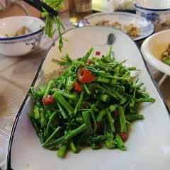 Xiangweitucaihuoyuguan (shinianlao) User Photo