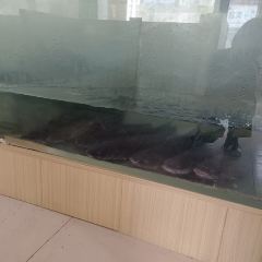 鱼非鱼秘制烤全鱼(西华店) 여행 사진