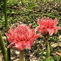 評論圖片 2