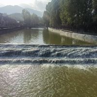 評論圖片 6