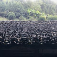 自家人饭店 User Photo