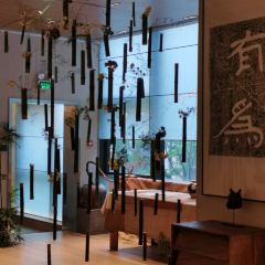 THE SYNC LOUNGE User Photo