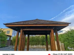 7米9庭院餐廳