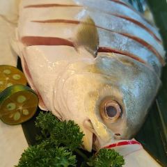 QIONG ZHOU ZAO PO CU User Photo