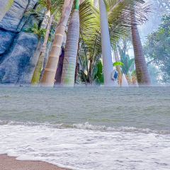 望海阁·海鲜舫(万平口景区店) User Photo