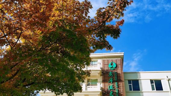 tian xia di yi tang wen quan