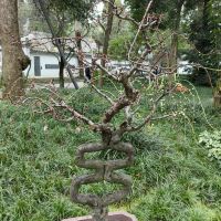 評論圖片 1