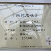 評論圖片 3