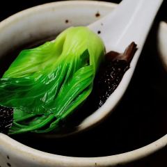 SUN PLANT User Photo