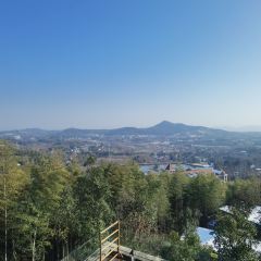 Meijie User Photo