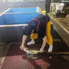 渔水谣·湖岸风味私房菜(千岛湖旅游码头店) User Photo