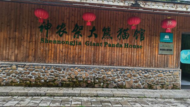 Shennongjia Giant Panda Pavilion