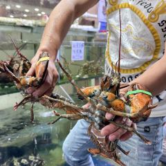 鲨渔港海鲜美食(广东路银滩店) User Photo