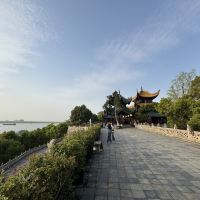 評論圖片 8