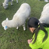 評論圖片 5
