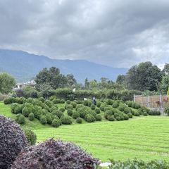 YUNHEYI MANOR 여행 사진