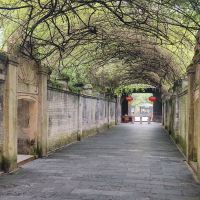 評論圖片 2