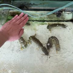 Qiang Shi Fu cenang Seafood Restaurant User Photo