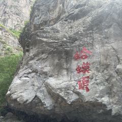 众鑫莜面村 User Photo