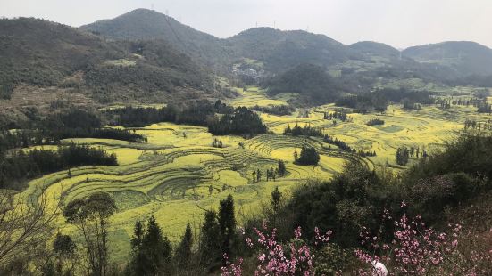 来罗平一定要打卡的景点，交通非常便利，在华联超市乘坐10路公