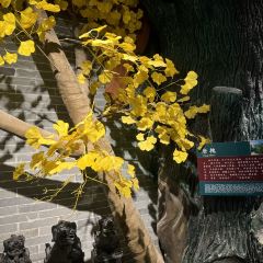 铭雁楼酒楼(五峰嘉苑店) User Photo