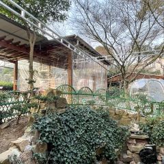 清风小院(三峰街店) User Photo