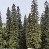 評論圖片 3