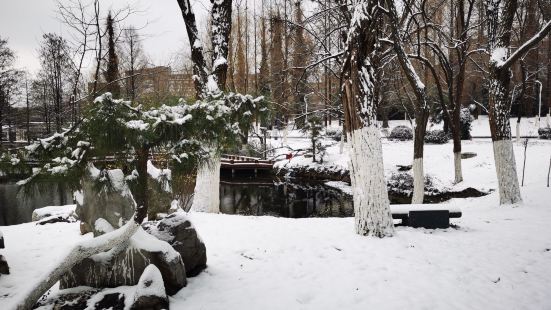 校园内非常的静谧，学生都基本上回家了，寒假期间一场雪后让校园