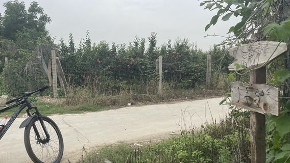 wu wei hu sheng yuan